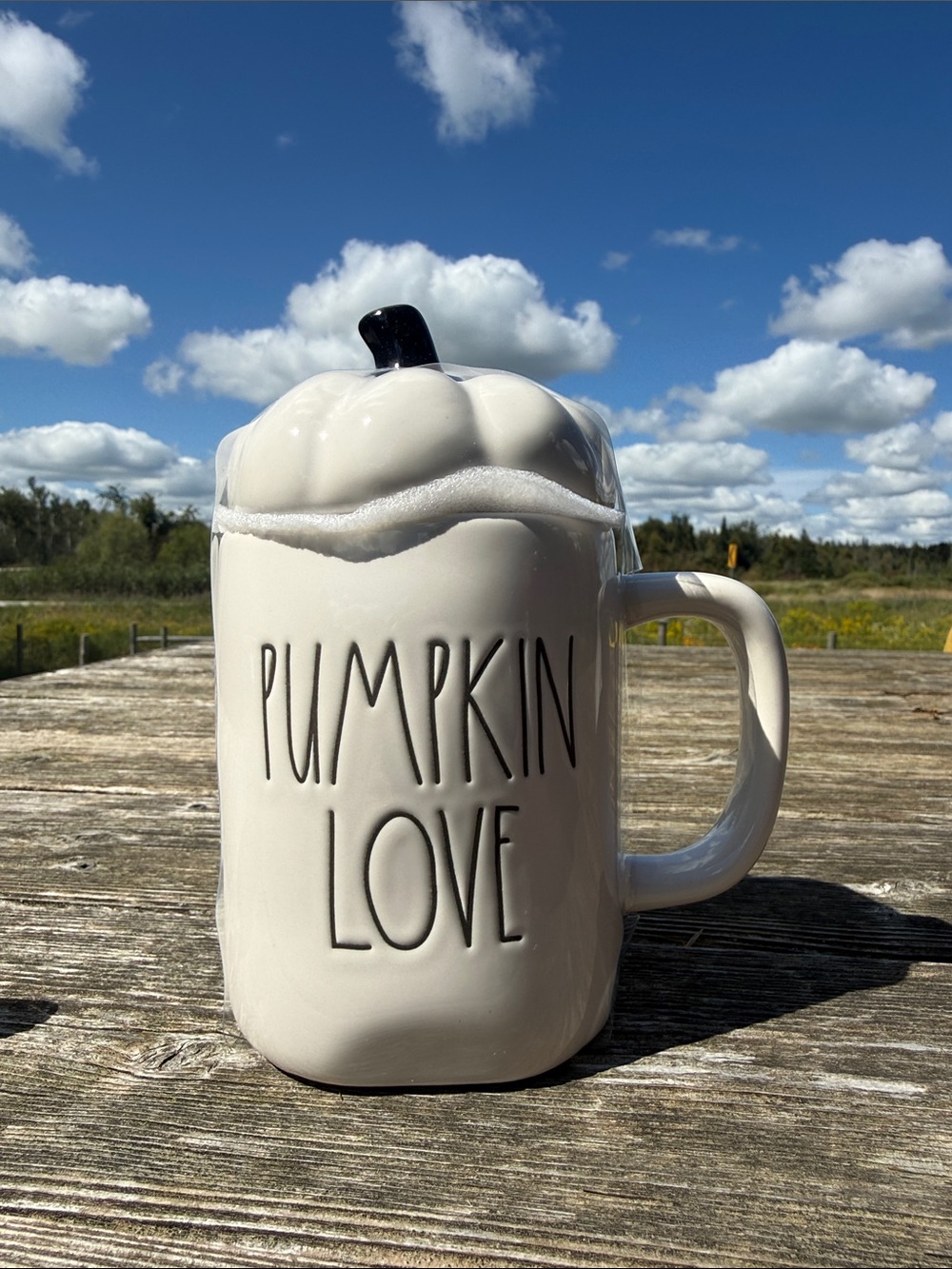 BNWT pumpkin love Rae Dunn mug with topper